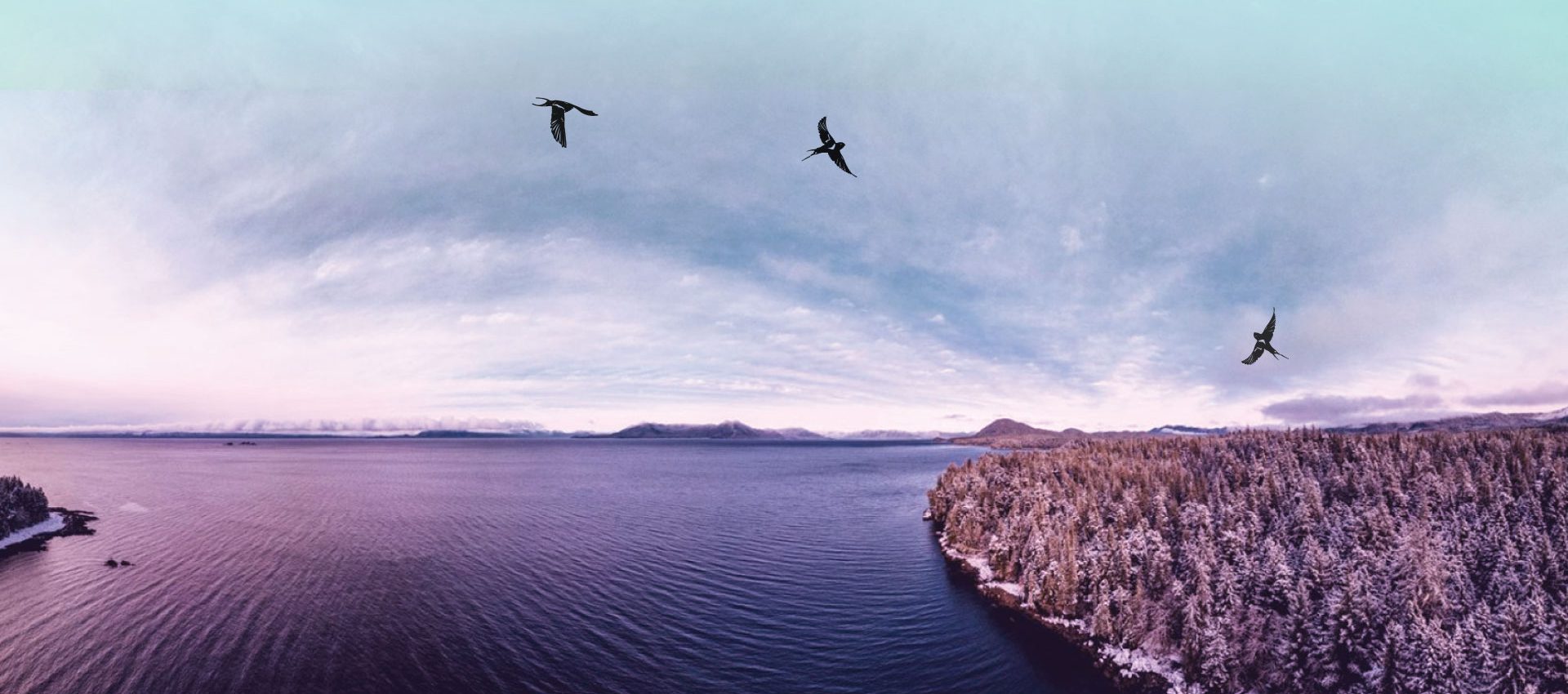 ...